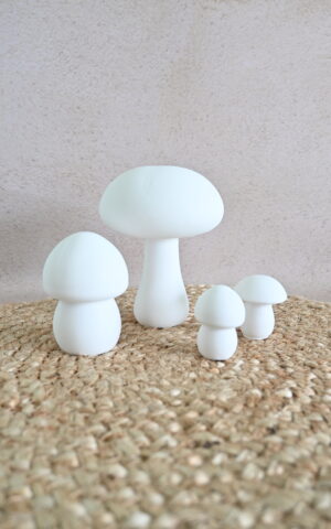 Paddenstoel zonder stippen