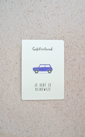 Je hebt je rijbewijs