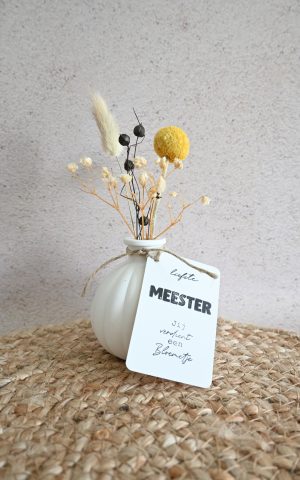 Lieve meester/juf, jij verdient een bloemetje