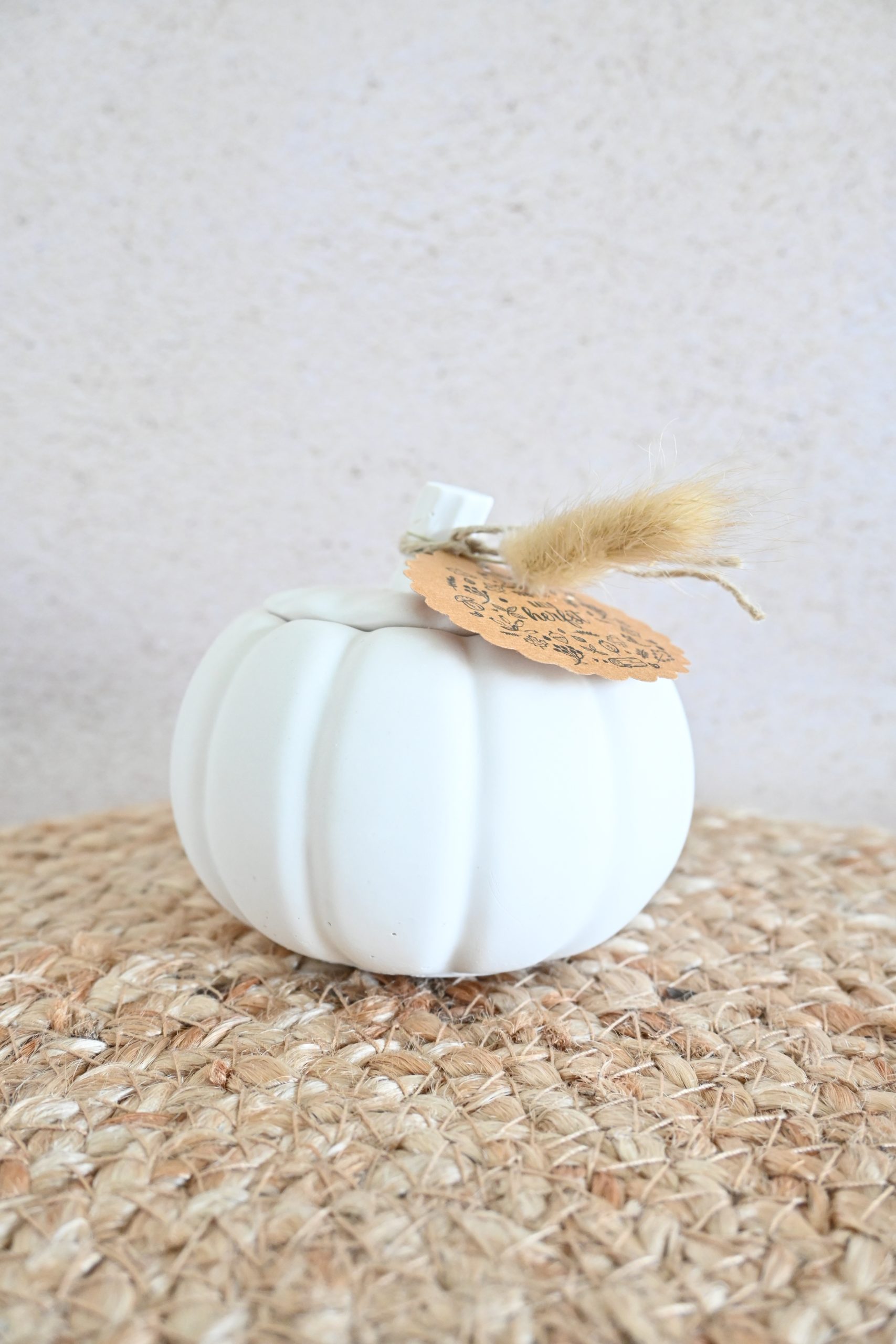 Pompoen - potje - Afbeelding 2