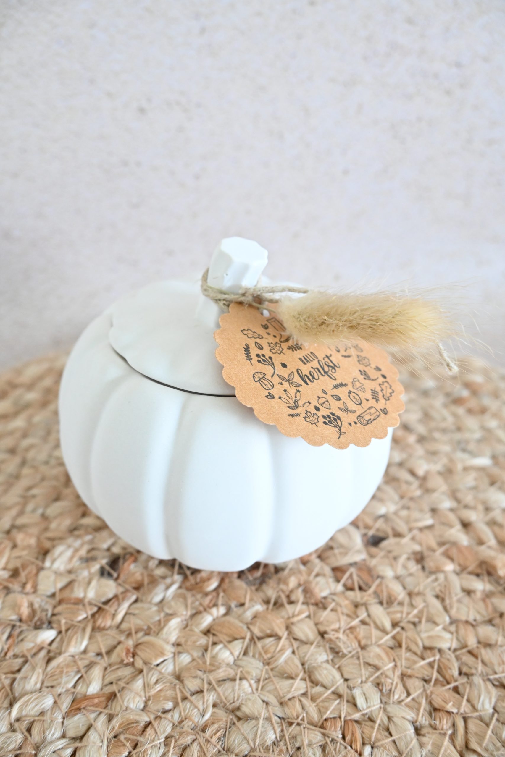 Pompoen - potje - Afbeelding 3