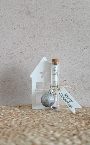 Geldcadeau - huisje met schouw