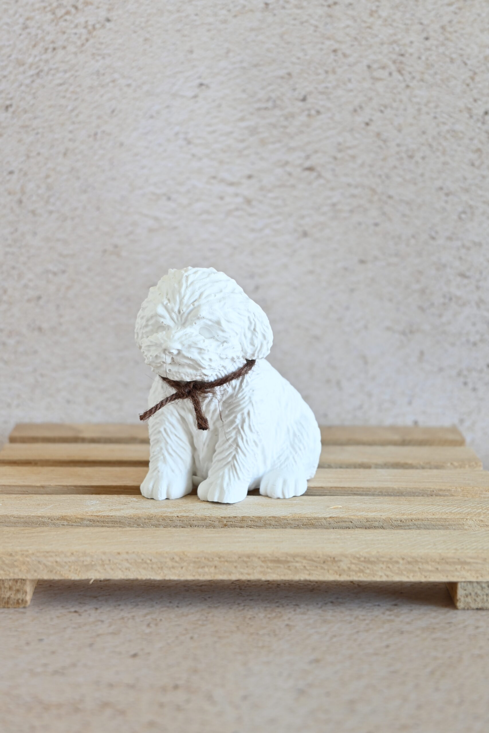 Labradoodle - Afbeelding 2