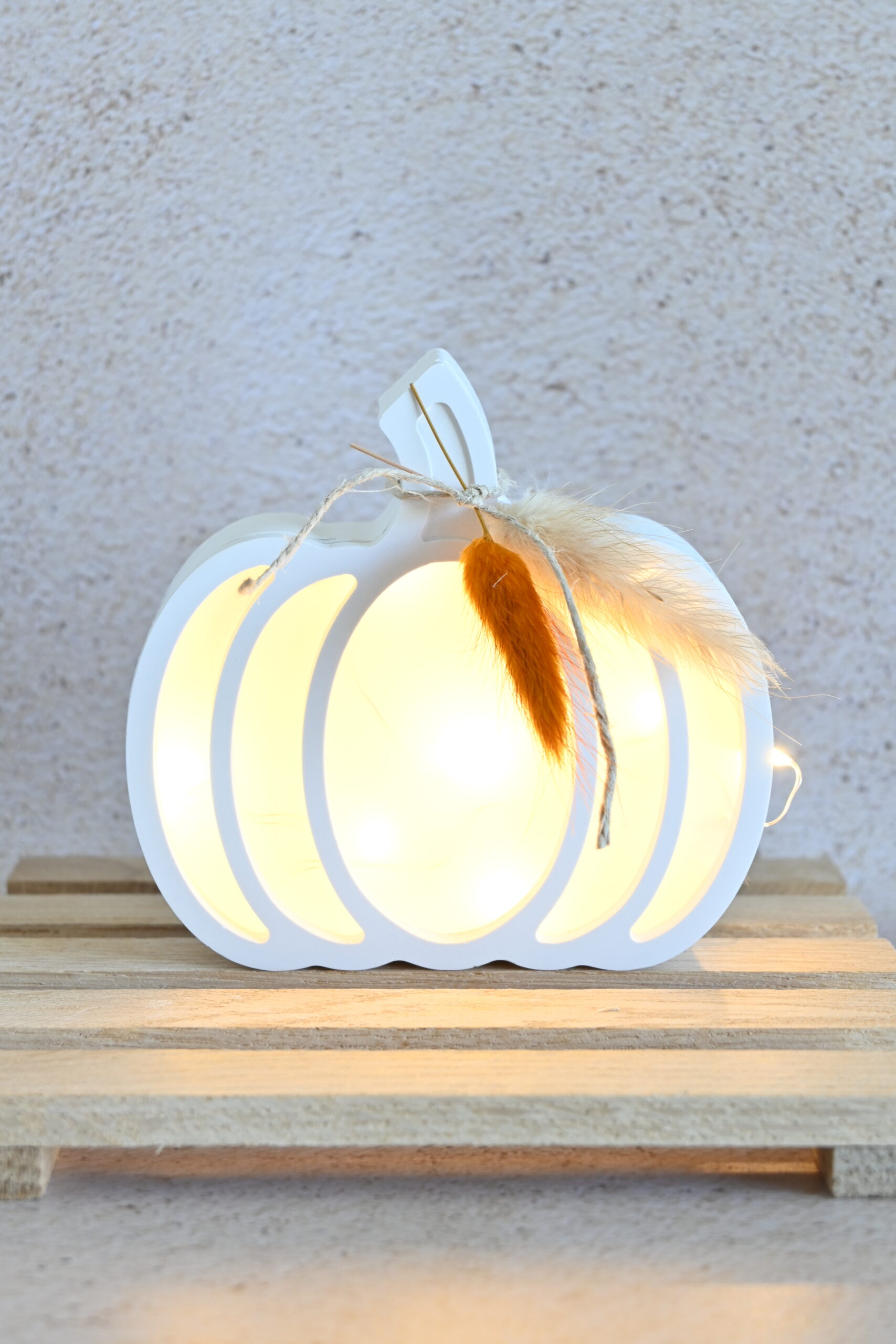 Lichtgevende pompoen - Afbeelding 3